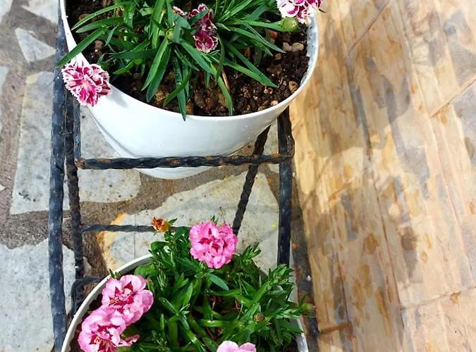 House Hébergement de vacances